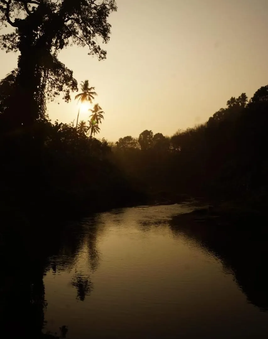 Maya Forest Lodge Kallar  Kallar (Trivandrum)