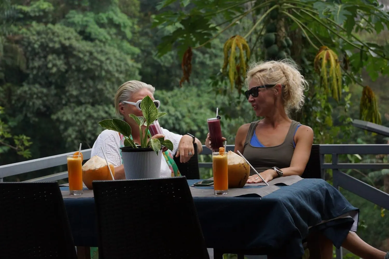 Maya Forest Lodge Kallar   Kallar (Trivandrum)