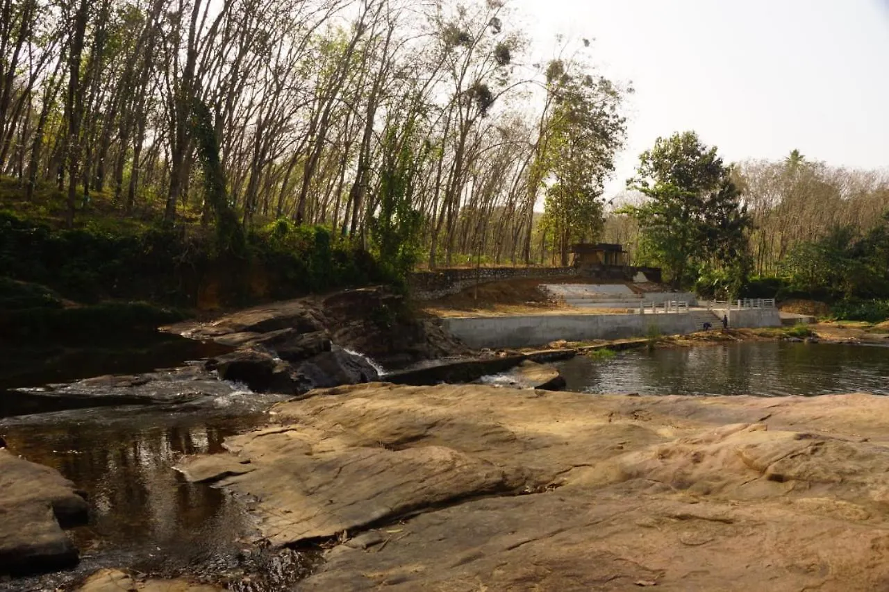 Maya Forest Lodge Kallar   Kallar (Trivandrum)