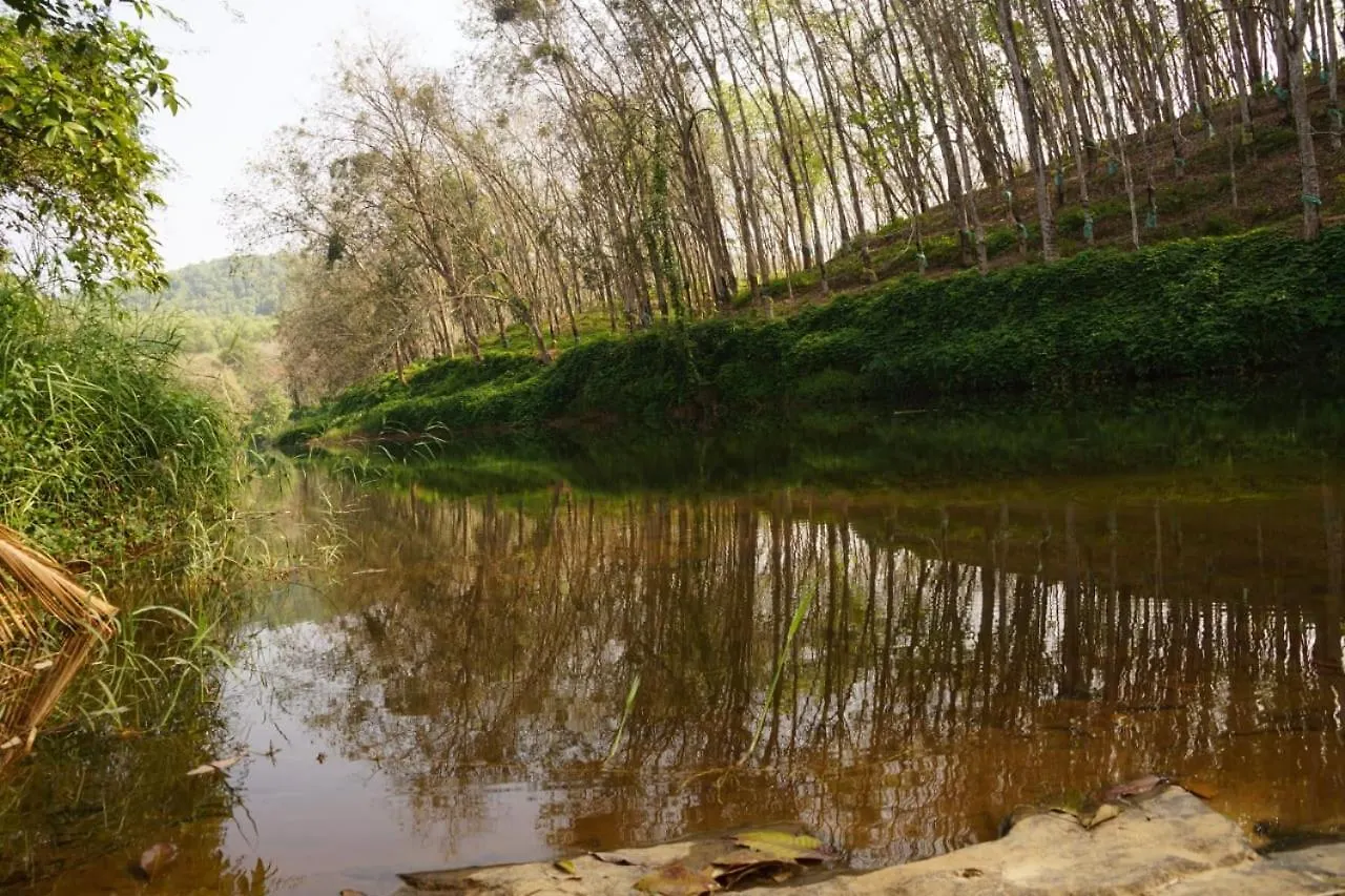 Maya Forest Lodge Kallar  India