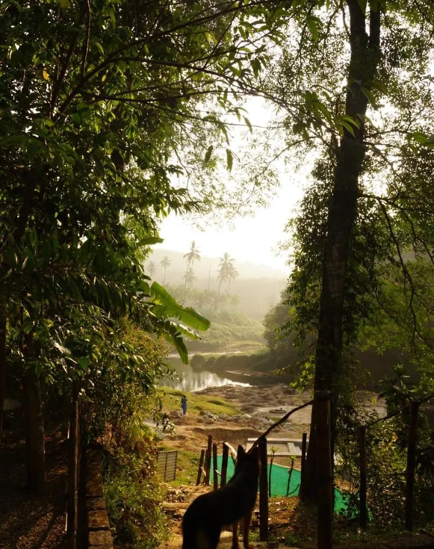 Maya Forest Lodge Kallar