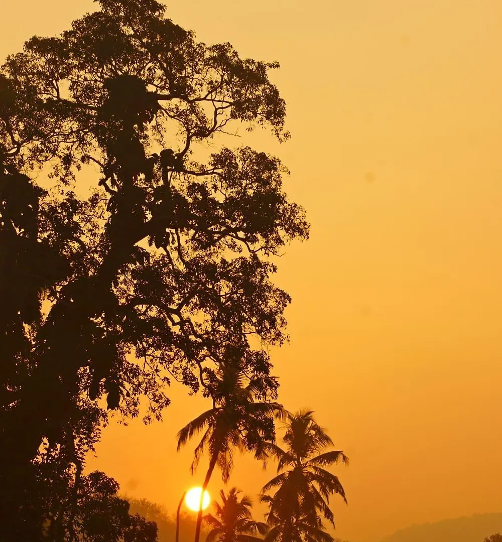 Maya Forest Lodge Kallar